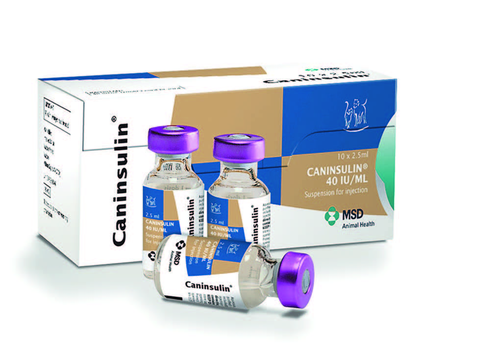 Caninsulin hot sale for dogs