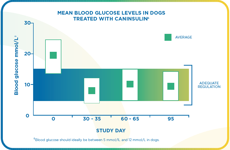 Caninsulin Dogs - MSD Animal Health Republic of Ireland